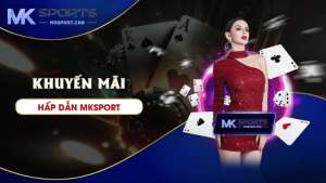 khuyến mãi mksport